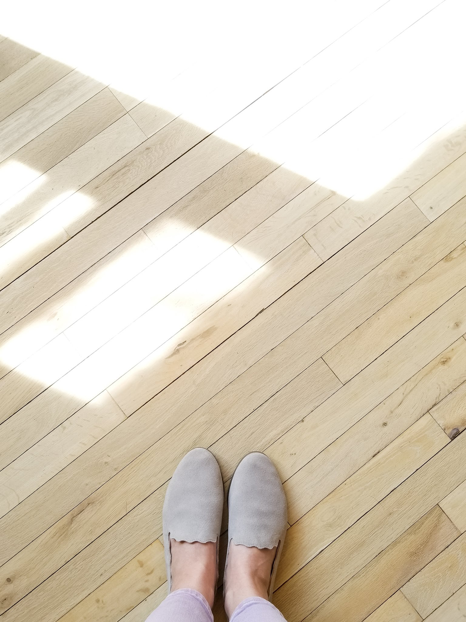 sanded hardwood floors